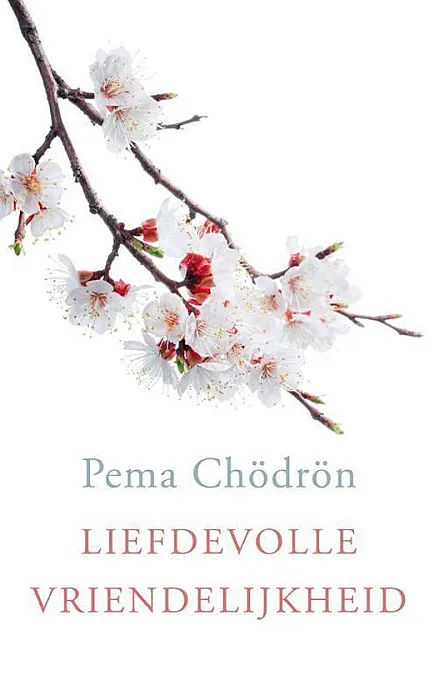 Liefdevolle vriendelijkheid - Chödrön, P.
