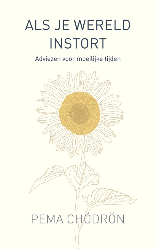 Als je wereld instort - Chödrön, P