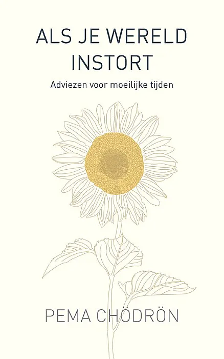 Als je wereld instort - Chödrön, P