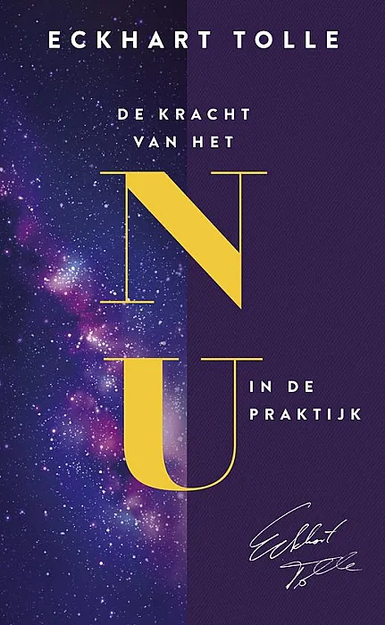 De kracht van het nu in de praktijk - Tolle, E