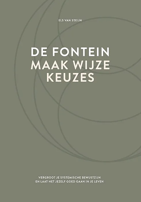 De fontein maak wijze keuzes - Steijn, E.