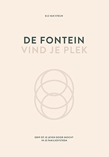 De fontein vind je plek - Steijn, E.