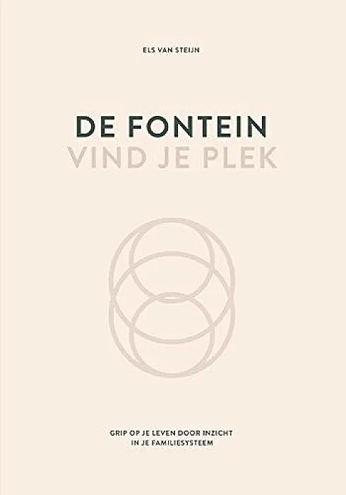De fontein vind je plek - Steijn, E.