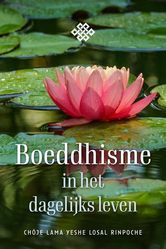 Boeddhisme in het dagelijks leven - Rinpoche