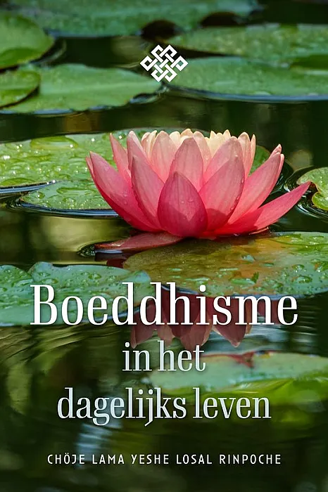 Boeddhisme in het dagelijks leven - Rinpoche