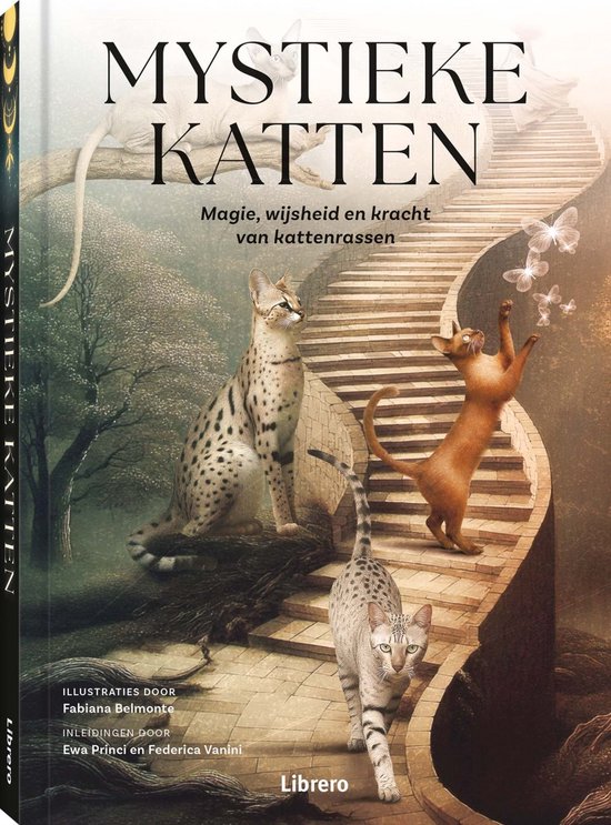 Mystieke katten - Belmonte