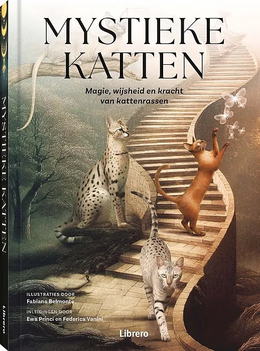 Mystieke katten - Belmonte