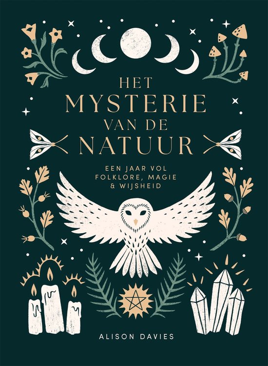 Het mysterie van de natuur - Davies