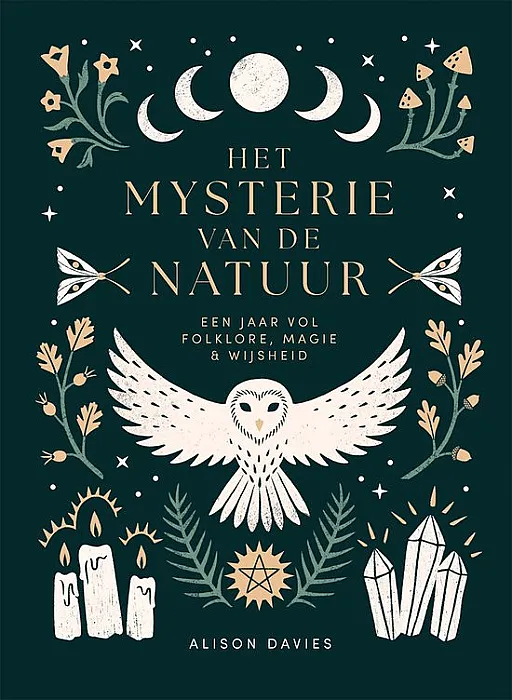 Het mysterie van de natuur - Davies