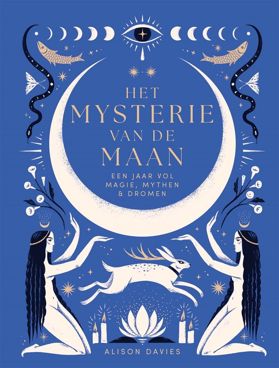 Het mysterie van de maan - Davies