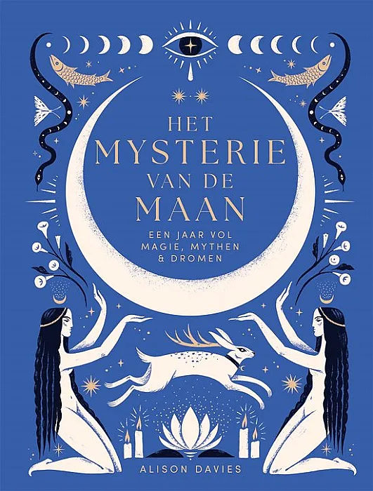 Het mysterie van de maan - Davies