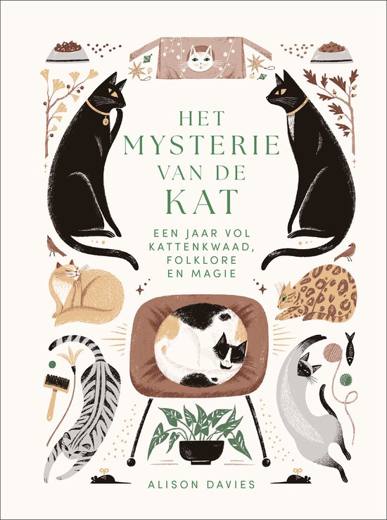 Het mysterie van de kat - Davies, A.