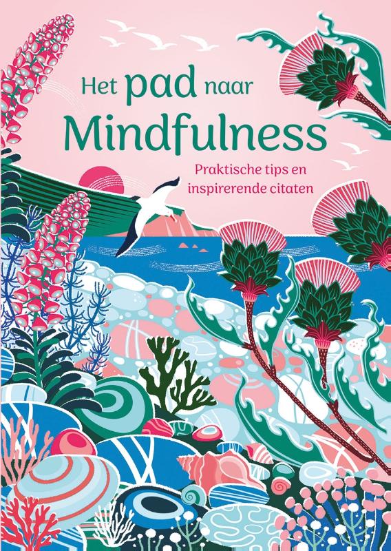 Het pad naar mindfulness