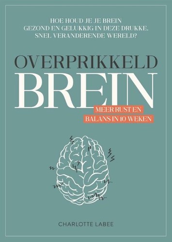 Overprikkeld brein - Labee, C.