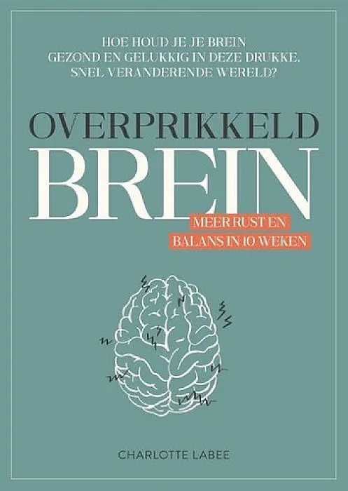 Overprikkeld brein - Labee, C.