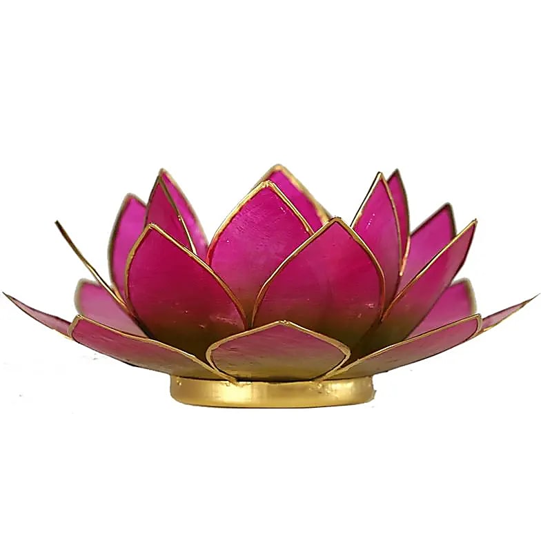 Lotus sfeerlicht (4) groen/roze 2-kleurig -- 13.5 cm