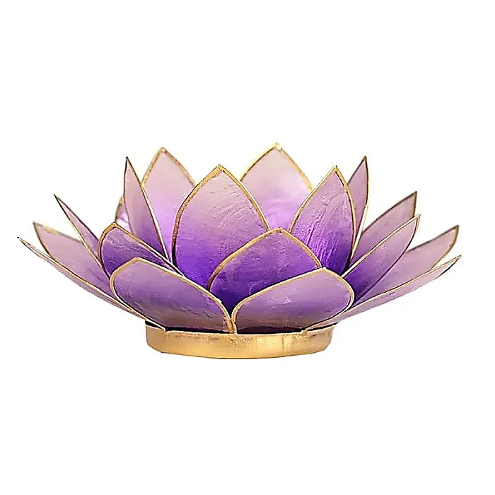 (16) Lotus sfeerlicht paars/violet -- 13.5 cm