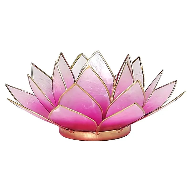 Lotus sfeerlicht (2) roze/lichtroze goudrand -- 13.5 cm