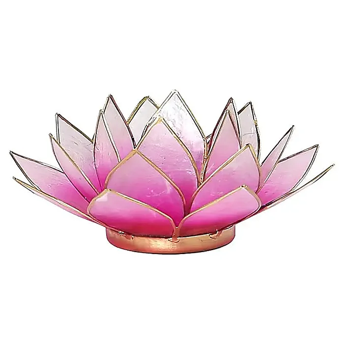 Lotus sfeerlicht (2) roze/lichtroze goudrand -- 13.5 cm