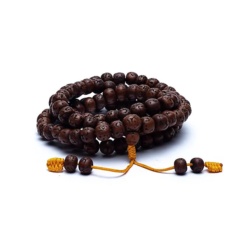M44 Mala Rudraksha gepolijst