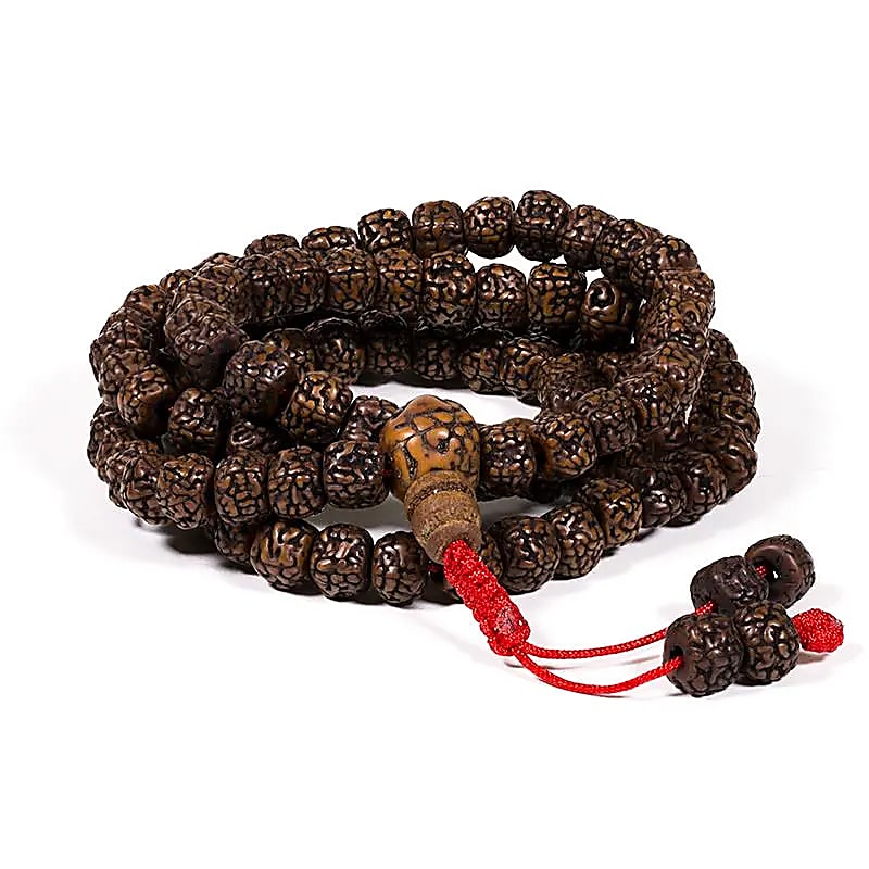 M46 Mala gepolijste Rudraksha