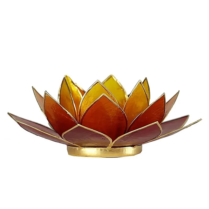 Lotus sfeerlicht (7) 3-kleurig goudrand -- 13.5 cm