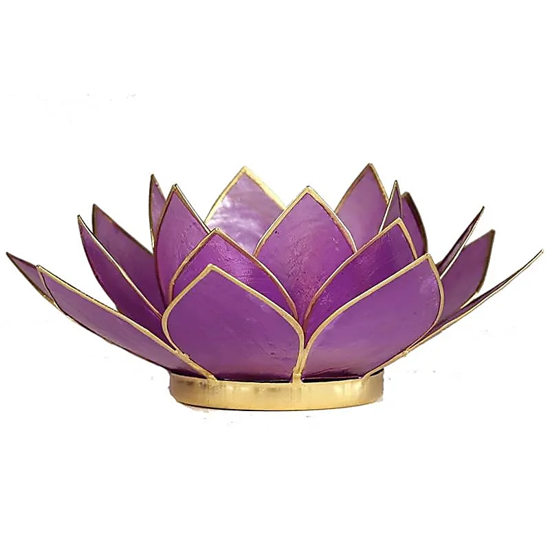 (1) Lotus sfeerlicht  lila goudrand -- 13.5 cm