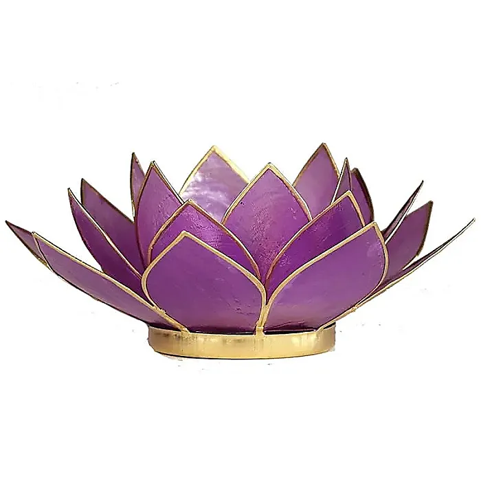 (1) Lotus sfeerlicht  lila goudrand -- 13.5 cm