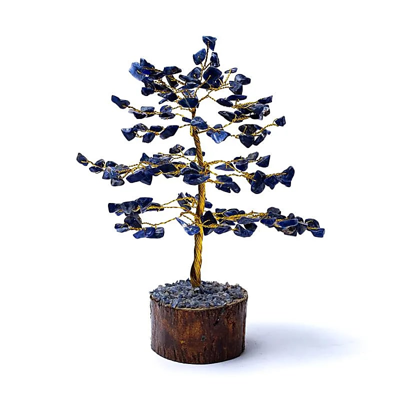 78376 (55) Edelsteenboom sodaliet