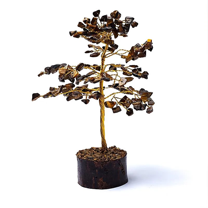 (51) Edelsteenboom tijgeroog