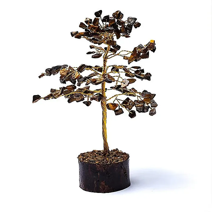 (51) Edelsteenboom tijgeroog
