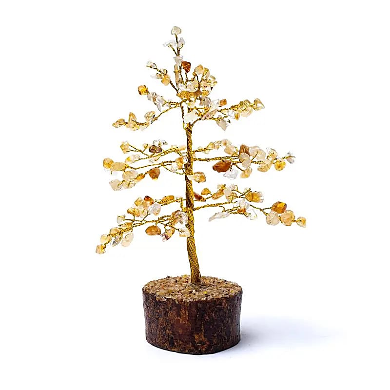 (54) Edelsteenboom citrien