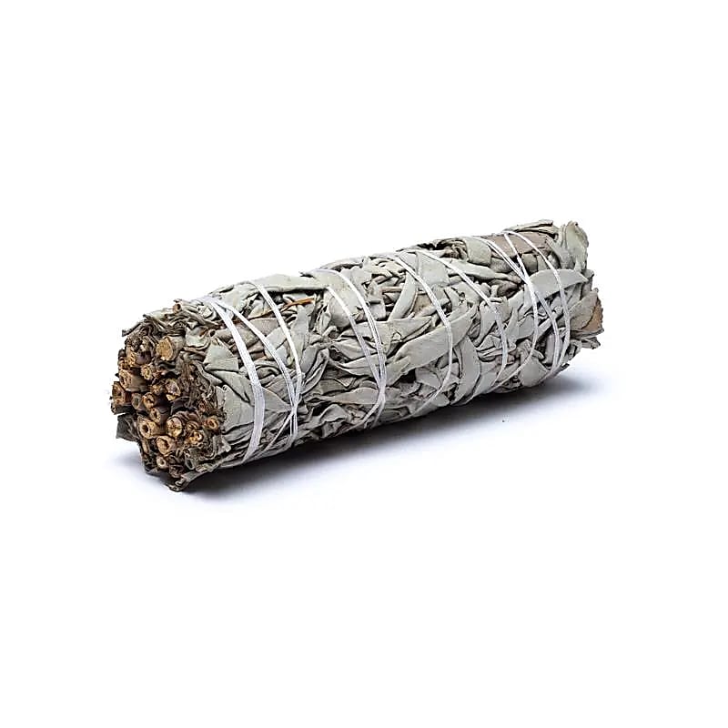 Witte Salie Smudge M -- 45-60g; 16x3 cm