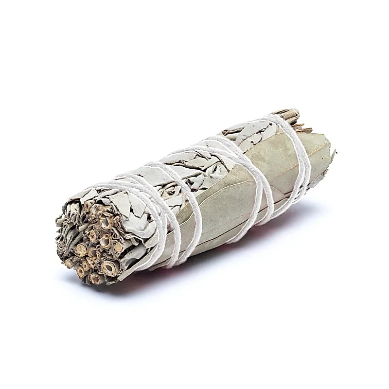 5275 Witte salie, eucalyptus smudge