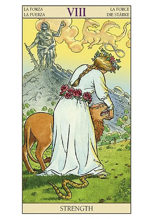 Tarot of the New Vision kaarten