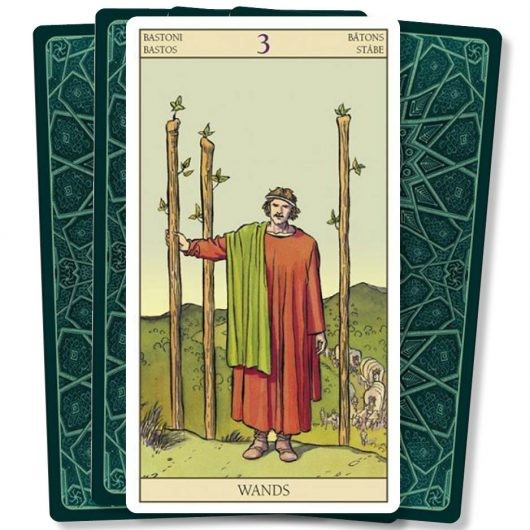 Tarot of the New Vision kaarten foto 6