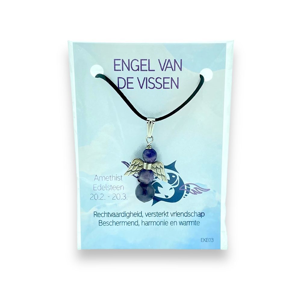 Engel voor jou hanger - Vissen