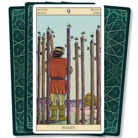 Tarot of the New Vision kaarten foto 7