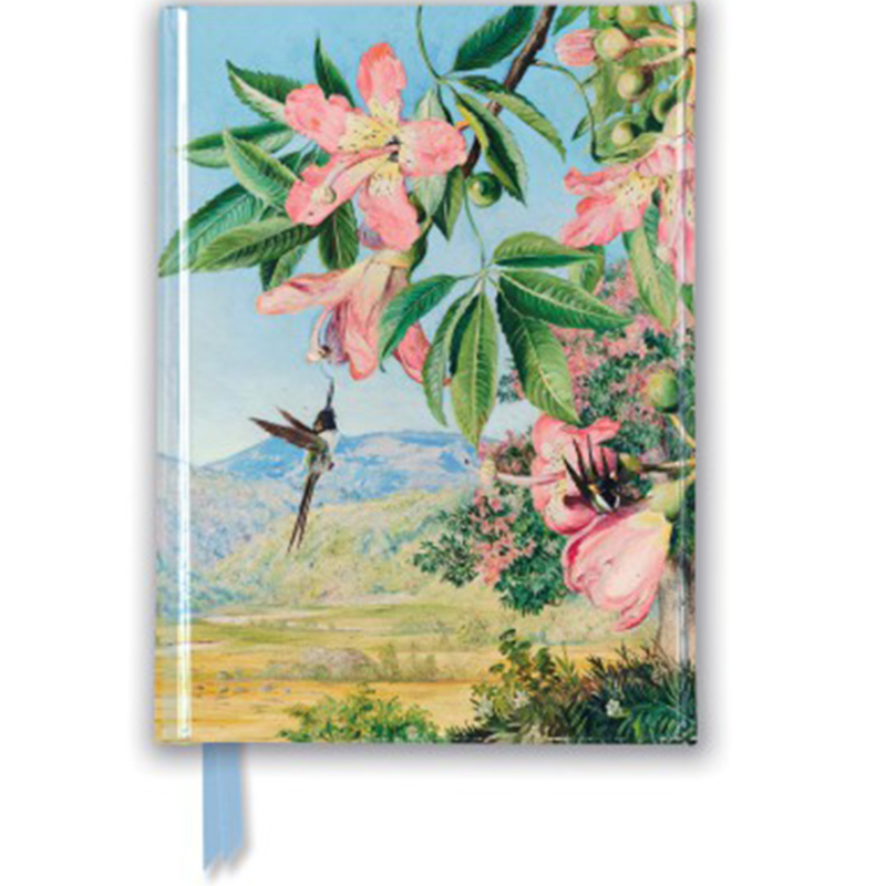 A6 Kew Garden's Marianne North - Honeyflowers and Honeysucker