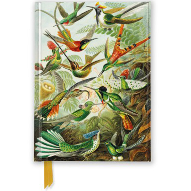 FTPB121 HAECKEL: HUMMINGBIRDS 15x11