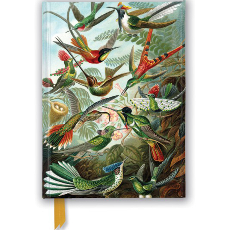 A5 Haeckel - Hummingbirds