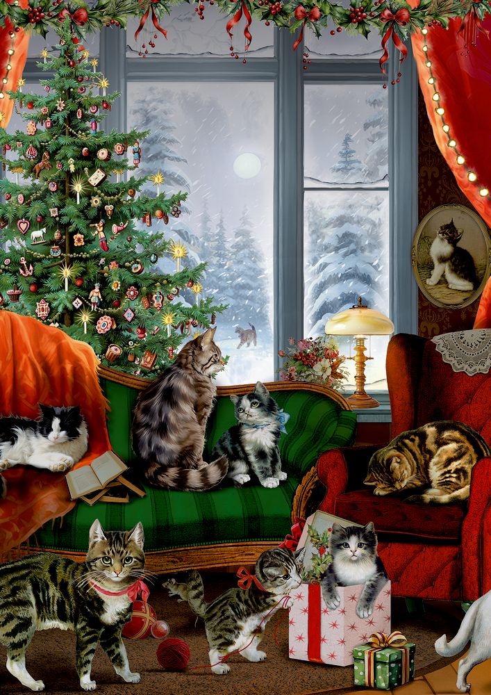 Katten voor het raam, A4 wandkalender met adventskalender (Behr)